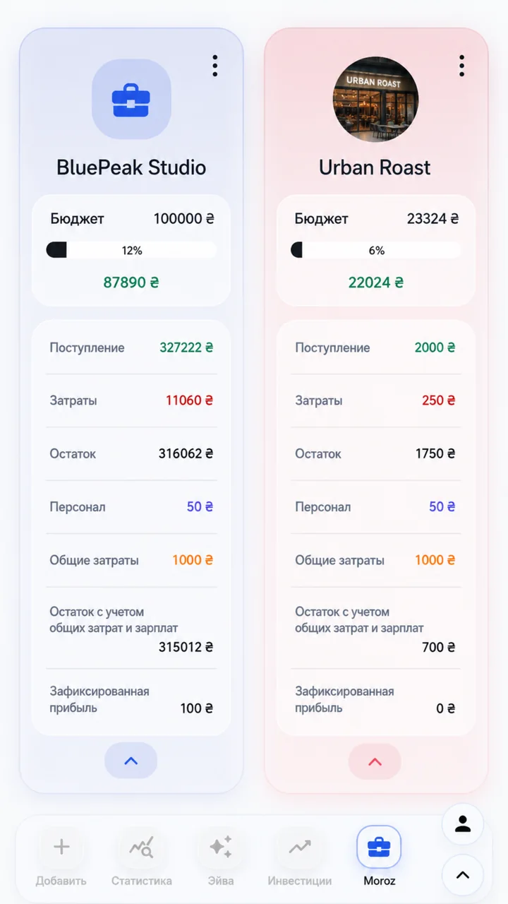Детальная карточка бизнеса в Freelife с бюджетом, поступлениями, затратами, персоналом и общими расходами